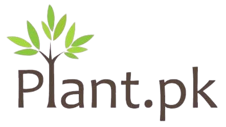 Plant.pk